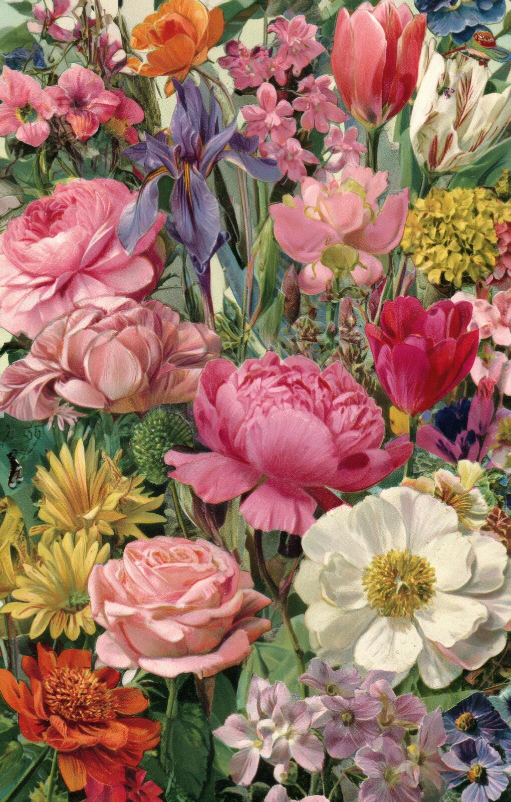 floral preview 10 – Journal Pages