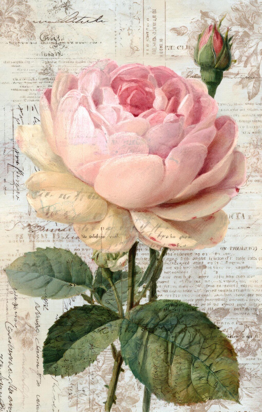 shabby preview 10 – Journal Pages