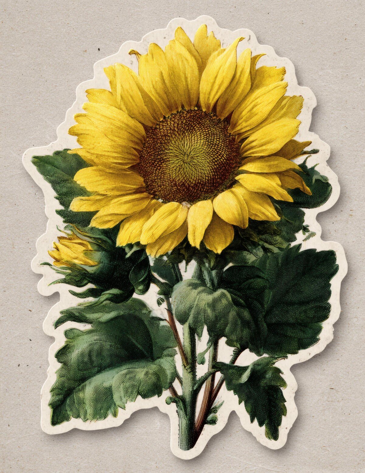 sunflower preview 9 – Fussy Cuts