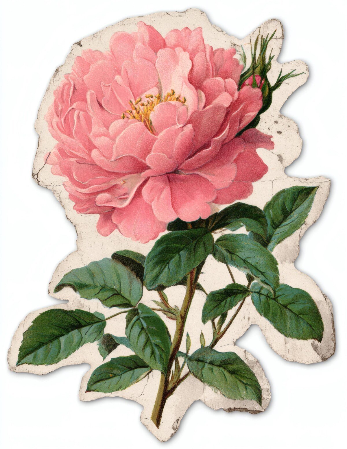 pink preview 8 – Stickers