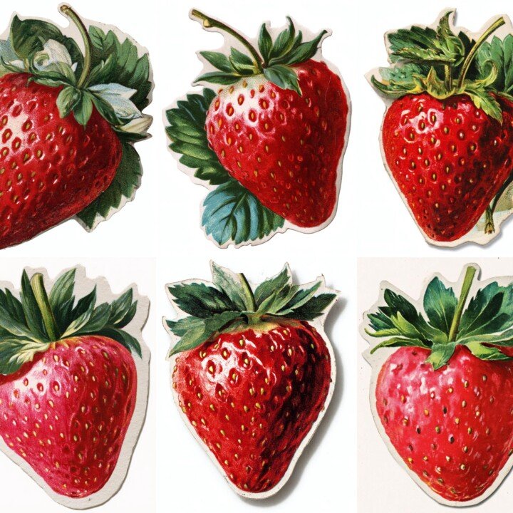 strawberry – 20 Strawberry Junk Journal Fussy Cuts