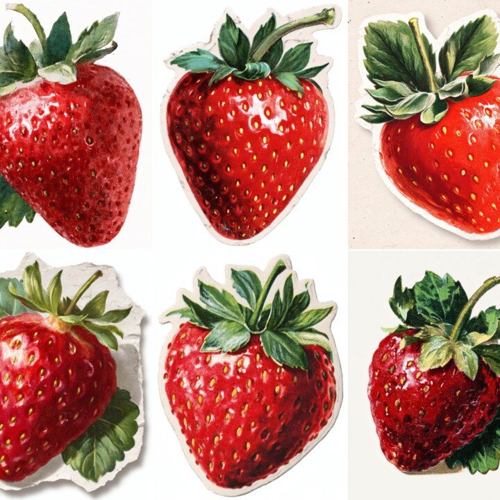 strawberry preview 2 – Fussy Cuts