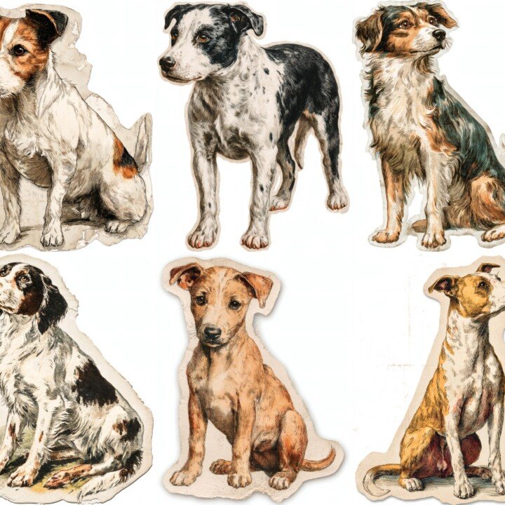 vintage – Vintage Dog Ephemera Pieces Cutouts