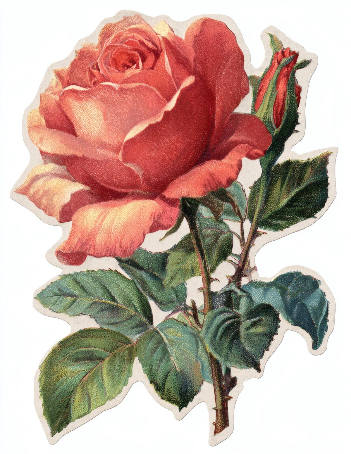 rose preview 5 – Stickers