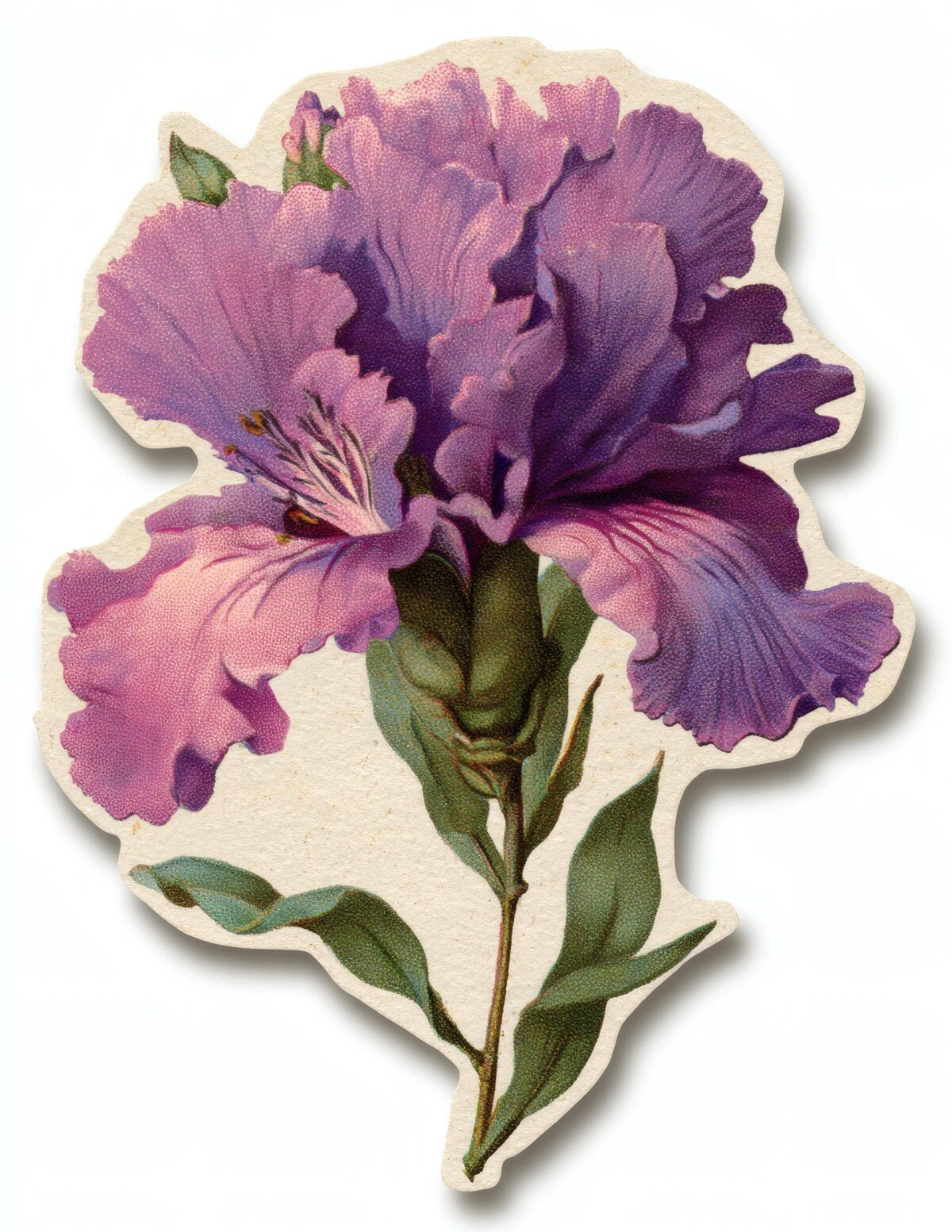 purple preview 10 – Fussy Cuts