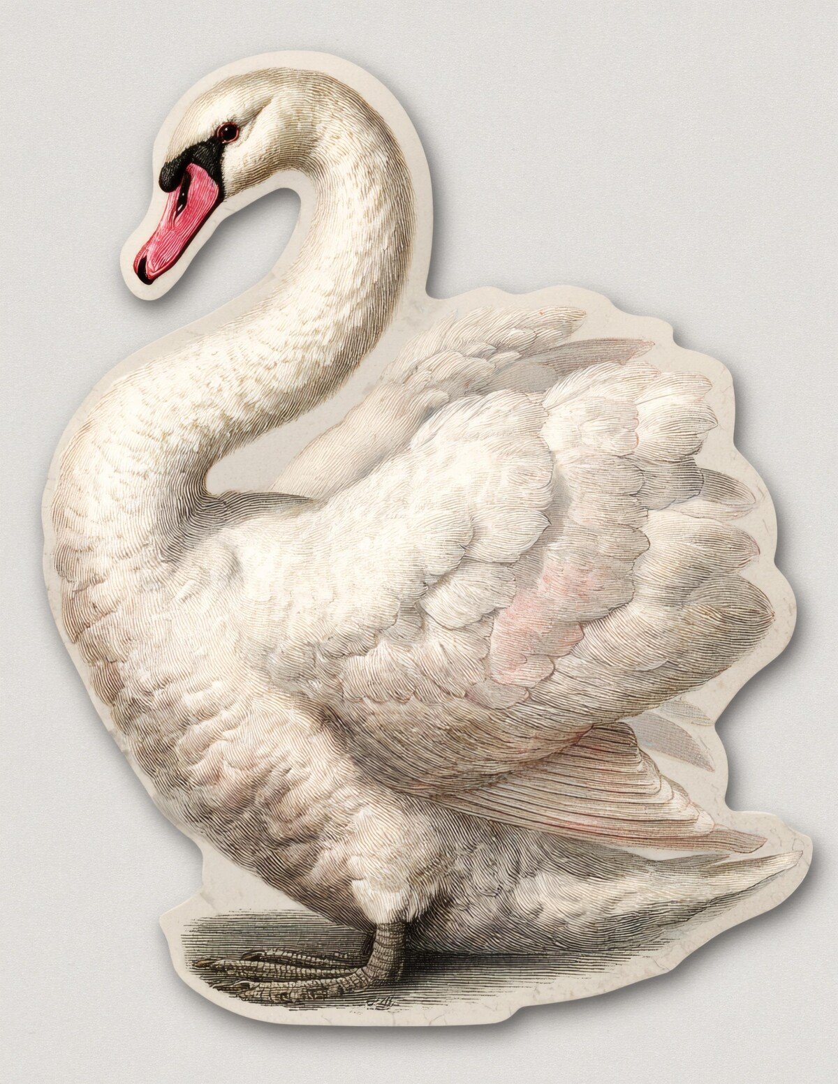 swan preview 9 – Fussy Cuts