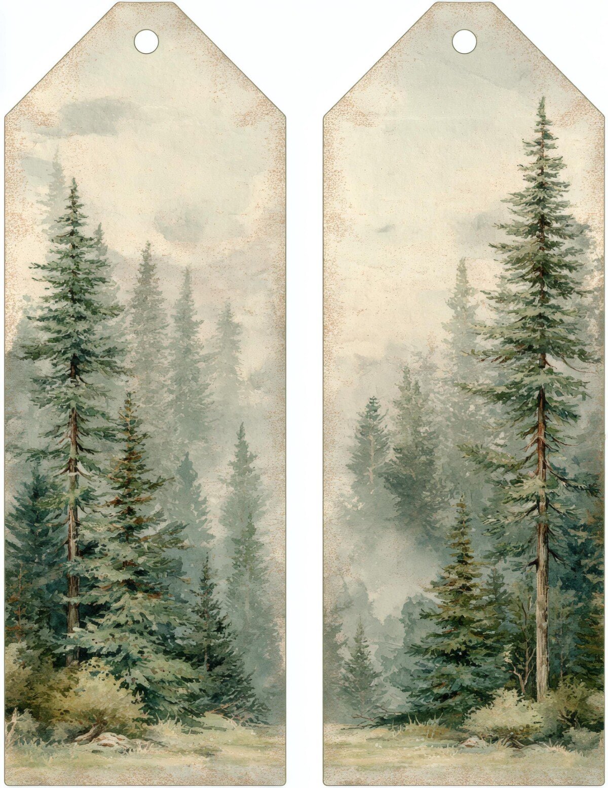 pine preview 7 – Labels & Tags