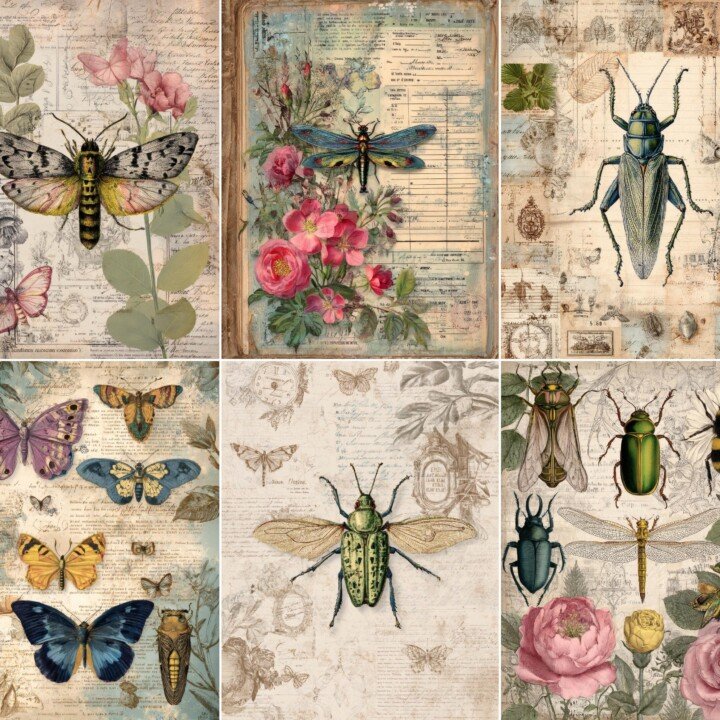 insect preview 2 – Journal Pages