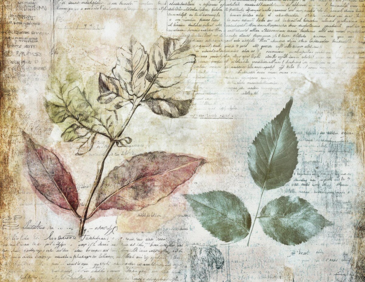 vintage preview 10 – Journal Pages